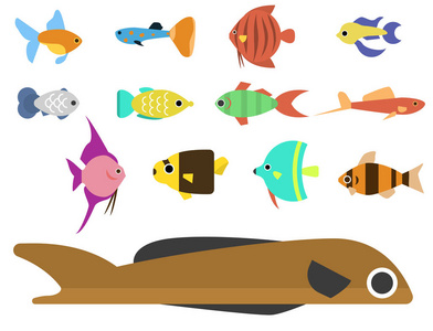 异国情调的热带鱼种族不同的养殖颜色水下海洋物种水生菌株自然平面矢量图解