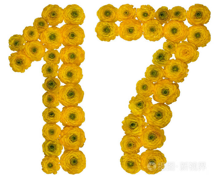 阿拉伯数字17十七从黄色花毛茛