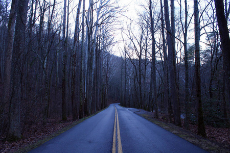 在大黑烟山国家公园的森林里的一条长的空的路的街道摄影