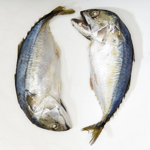 新鲜鲭鱼油炸隔离白色泰国食品平躺，最小概念复制空间