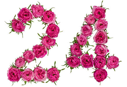 玫瑰花的数字图片-玫瑰花的数字素材-玫瑰花的数字插画-摄图新视界