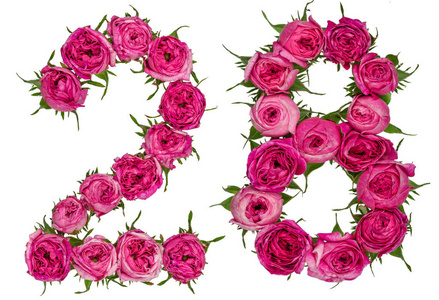 阿拉伯数字 28, 二十八, 从红色的玫瑰花, isola
