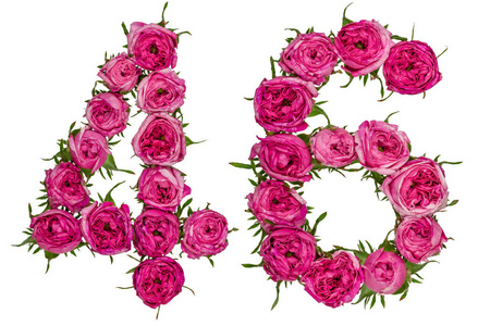 阿拉伯数字 46, 四十六, 从红色的玫瑰花, 孤立