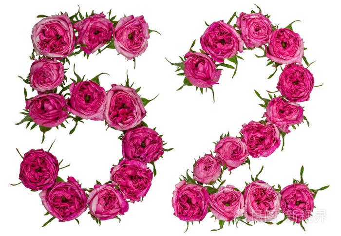 阿拉伯数字52五十二从红色的玫瑰花孤立