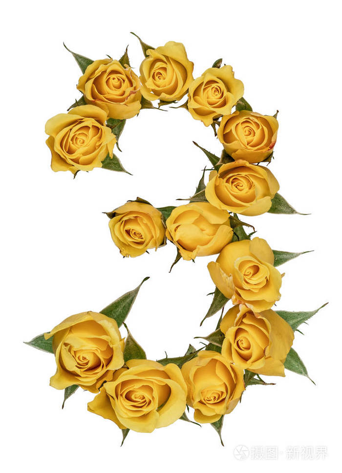 阿拉伯数字3三从黄色的玫瑰花孤立o