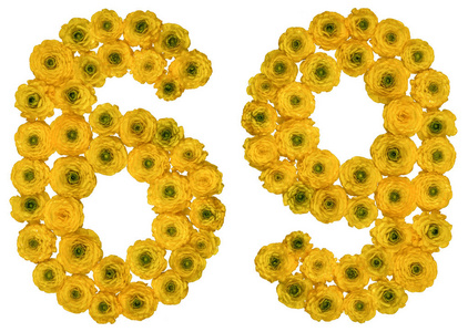 阿拉伯数字 69, 六十九, 从黄色花毛茛照片