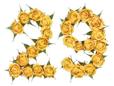 阿拉伯数字 29, 二十九, 从黄色的玫瑰花, iso