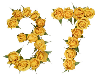 阿拉伯数字 37, 三十七, 从黄色的玫瑰花, 是