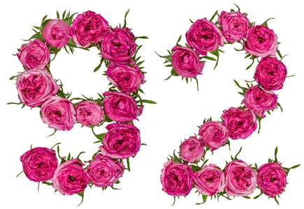 阿拉伯数字 92, 九十二, 从红色的玫瑰花, 隔离