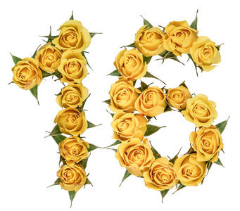 阿拉伯数字 16, 十六, 从黄色的玫瑰花, 隔离