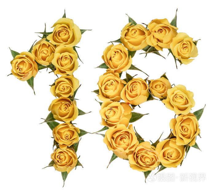 阿拉伯数字16十六从黄色的玫瑰花隔离
