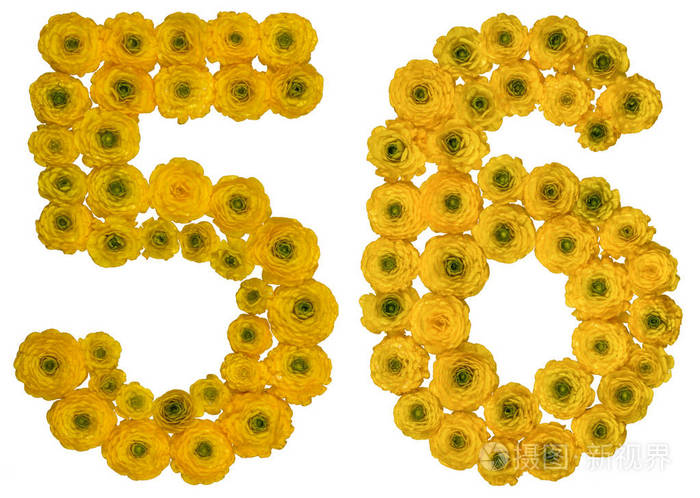 阿拉伯数字 56, 五十六, 从黄色花毛茛