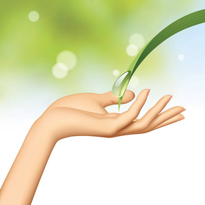 女人的手在水滴淌着绿叶照片