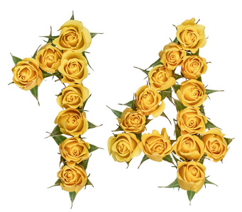 阿拉伯数字 14, 十四, 从玫瑰黄色的花, isolat照片