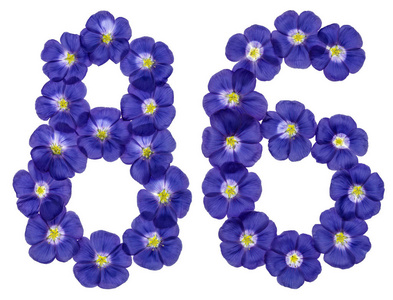 阿拉伯文数字 86, 八十六, 从亚麻蓝色的花, isolat