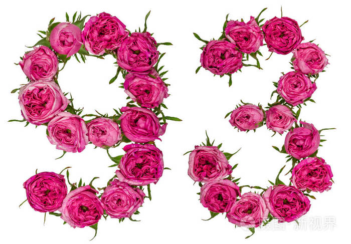 阿拉伯数字93九十三从红色的玫瑰花isola