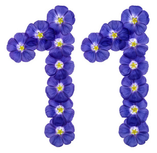 阿拉伯数字 11, 十一, 从亚麻蓝色的花, 孤立 o