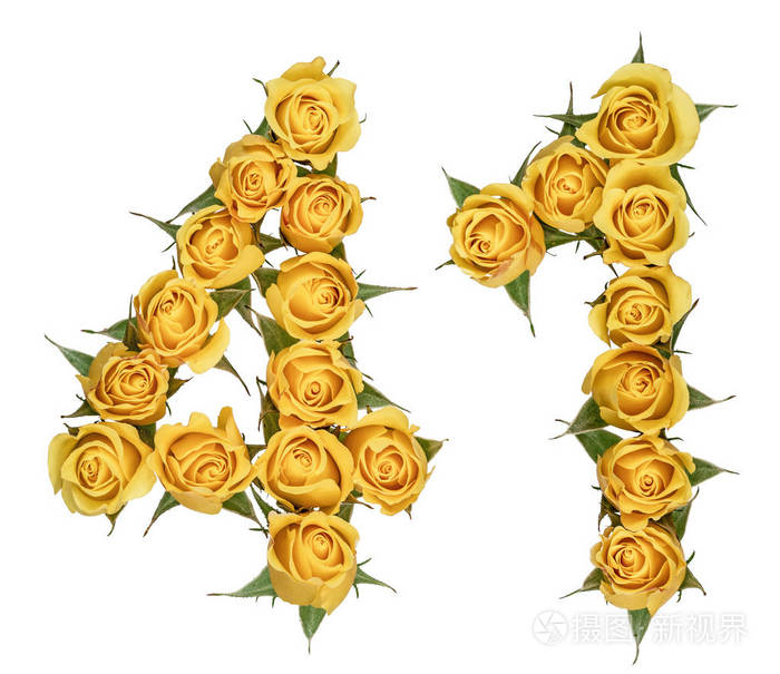 阿拉伯数字 41, 四十一, 从玫瑰黄色的花, isola