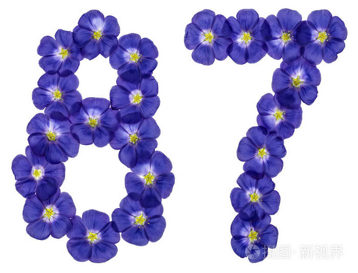 阿拉伯文数字87八十七从亚麻蓝色的花孤立