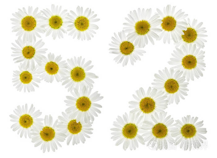 阿拉伯数字52五十二从白菊花的白色花我