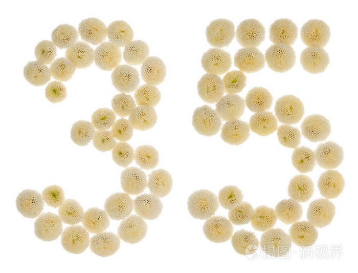 阿拉伯数字 35, 三十五, 从奶油花的 chrysanthe