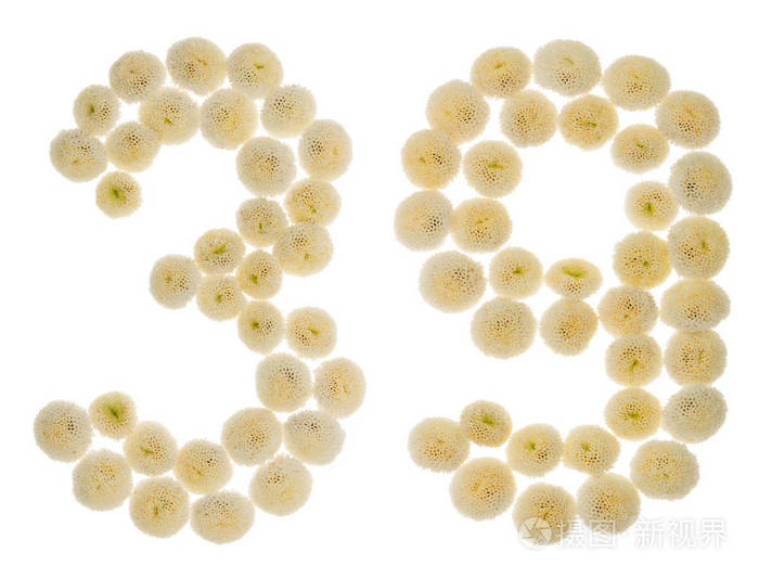 阿拉伯数字39三十九从奶油花的chrysanthe