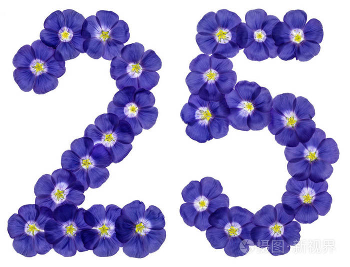 阿拉伯文数字25二十五从亚麻蓝色的花isola