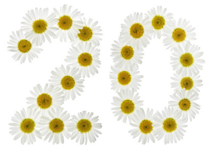 阿拉伯数字 20, 二十, 二, 从白菊花的白色花