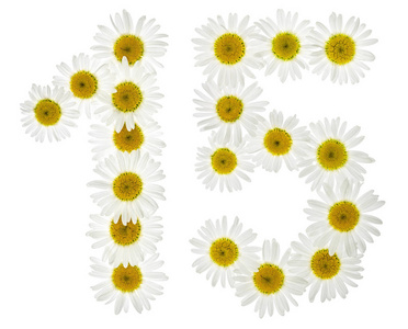 阿拉伯数字 15, 十五, 从白色菊花, iso照片