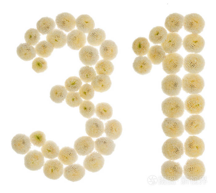 阿拉伯数字31 三十一 从奶油花的chrysanthem照片 正版商用图片10rbm1 摄图新视界