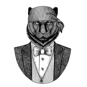 豹彪马美洲狮野生猫酷海盗, 海员, seawolf, 水手, 摩托车动物纹身