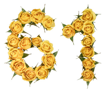 阿拉伯数字 61, 六十一, 从玫瑰黄色的花, isola