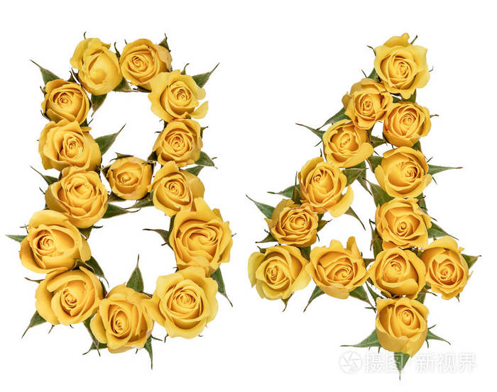 阿拉伯数字 84, 八十四, 从黄色的玫瑰花, iso
