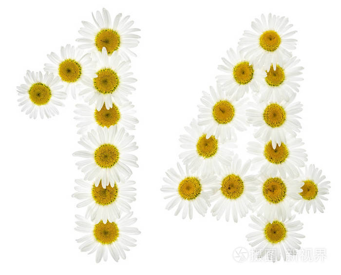 阿拉伯数字14十四从白菊花的白色花是