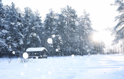 冬雪暴雪森林中的木质凉亭