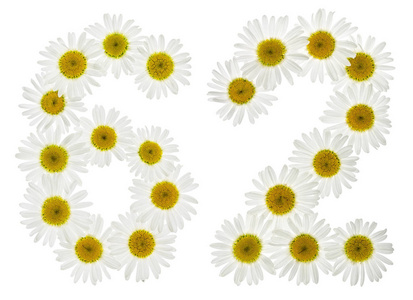 六十二阿拉伯数字 62, 六十二, 从白菊花的白色花, 我照片