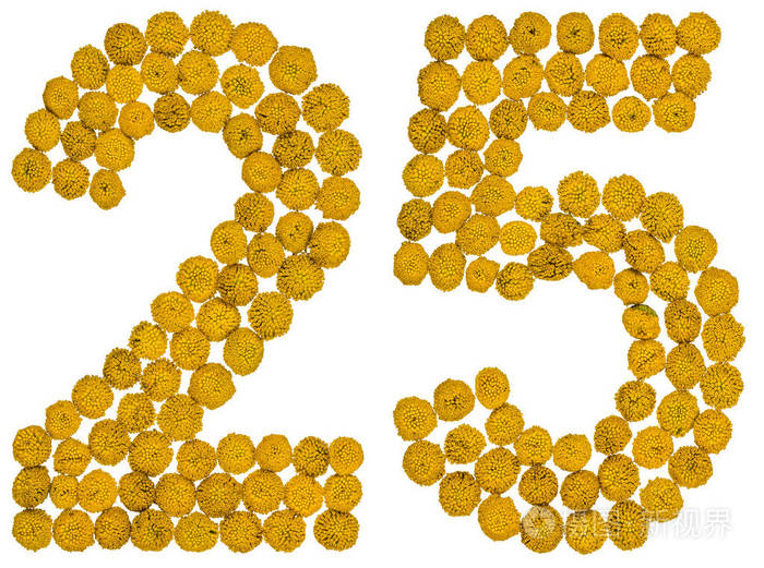 阿拉伯数字25二十五从黄色的花艾菊是
