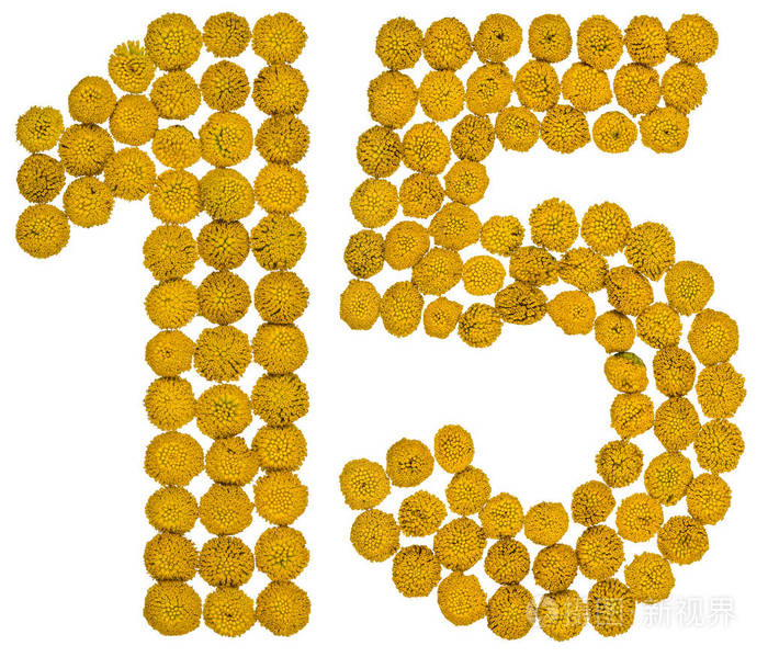 阿拉伯数字15十五从艾菊的黄花isolat