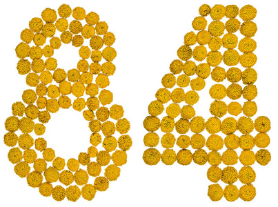 年轻的黄色花序艾菊阿拉伯数字 84, 八十四, 从黄色的花艾菊, 是照片