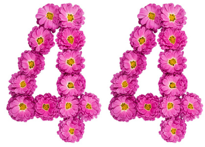 阿拉伯数字 44, 四十四, 从菊花花, 是照片