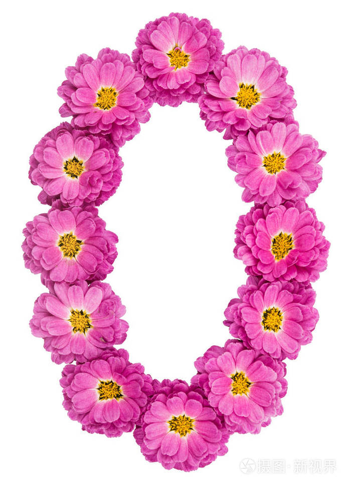 阿拉伯数字0零从菊花的花孤立