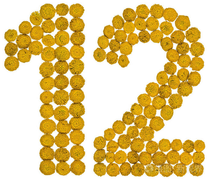 阿拉伯数字12十二从黄色的花艾菊隔离