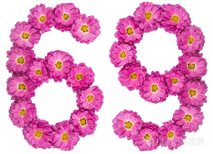 阿拉伯数字69六十九从菊花花是
