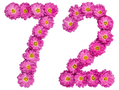 阿拉伯数字 72, 七十二, 从菊花花, 我照片