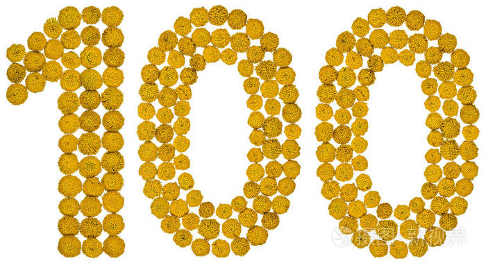 阿拉伯数字100100从黄色的花艾菊我