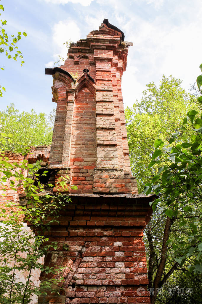 森林中旧墙的遗迹