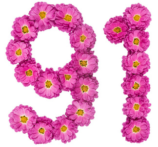 菊花从阿拉伯数字 91, 九十一, 从菊花花, 是照片