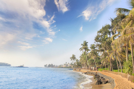 晴天斯里兰卡热带海滩美丽景色