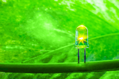 绿叶 Led 灯, 环保节能世界概念灯 lig