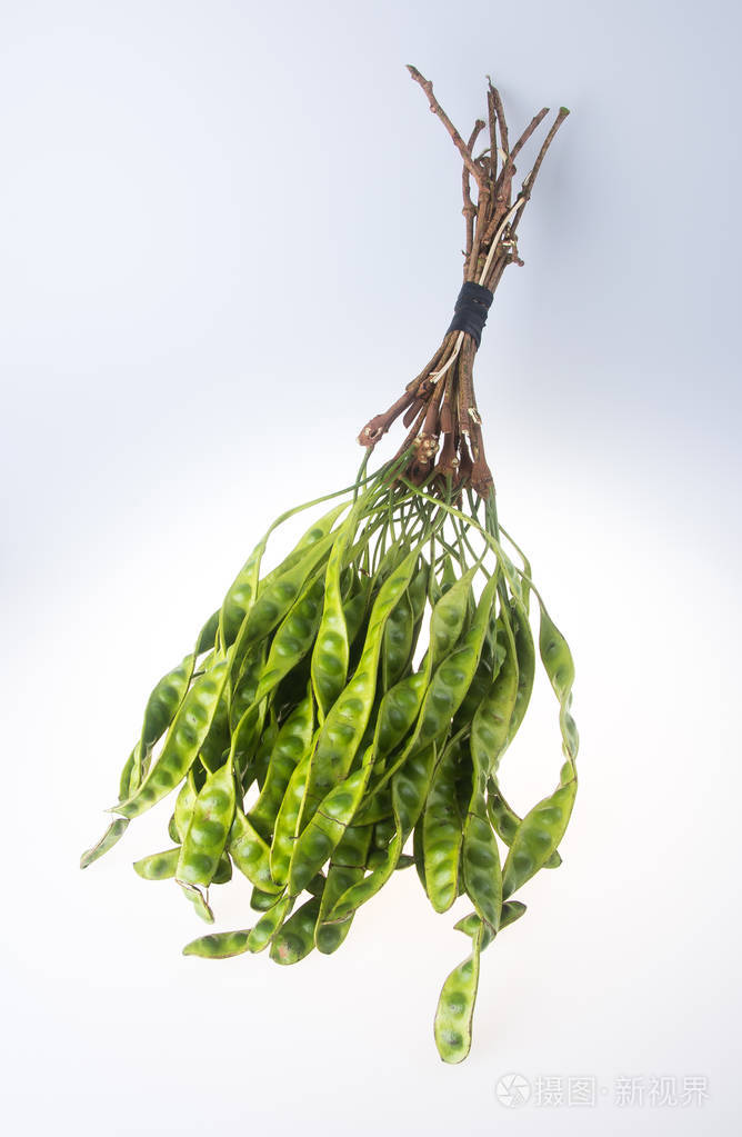 臭豆的背景臭豆的背景